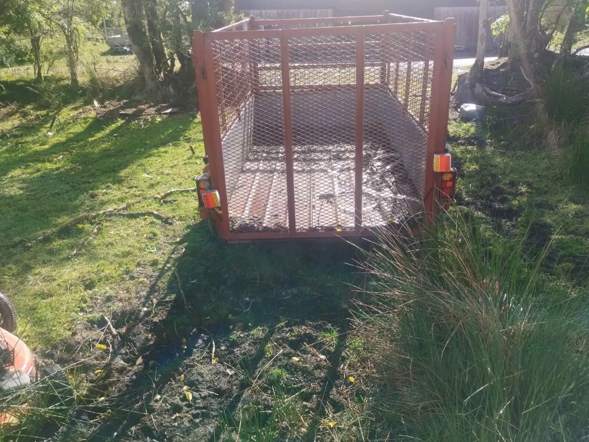 8x4 mesh trailer - Image 4