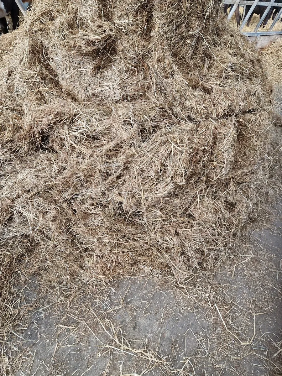 2024 1st Cut Silage Bales - Image 4