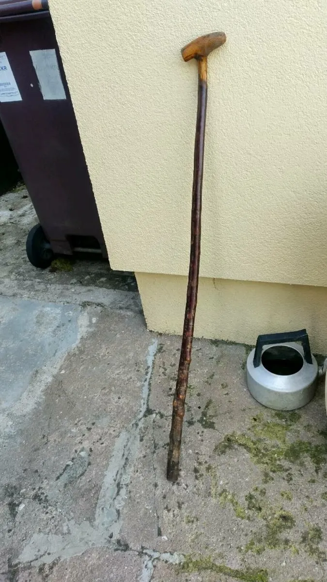 Blackthorn walking cane - Image 1