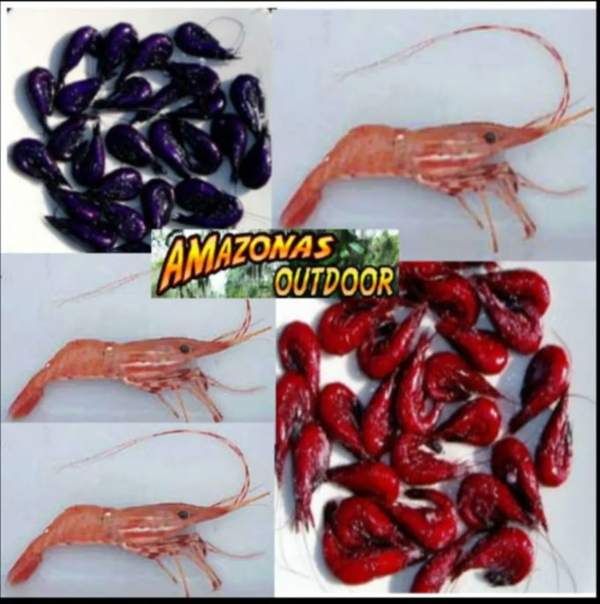 Fresh Dyed Prawns with eggs or natural