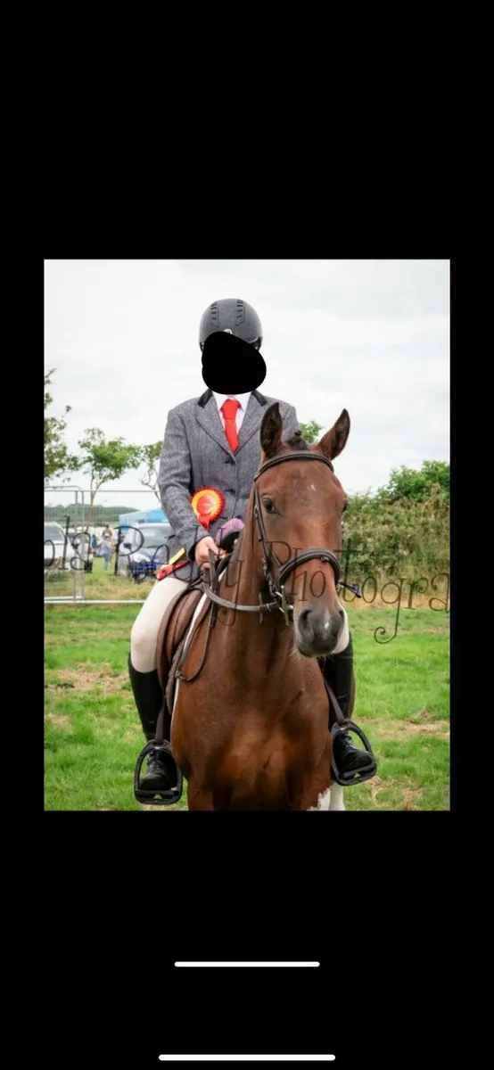 14.2 super pony - Image 1
