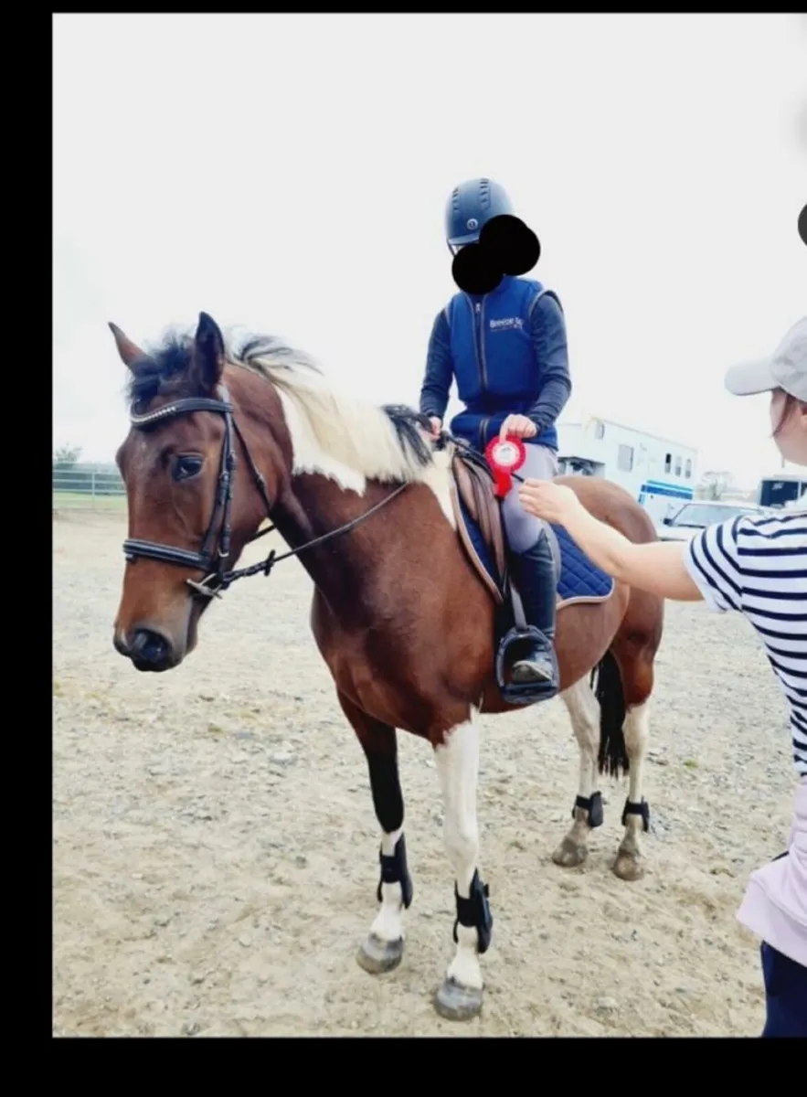 14.2 super pony - Image 2