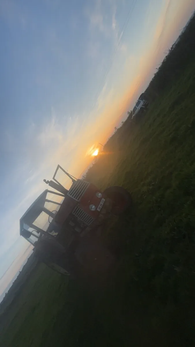 Zetor crystal - Image 3
