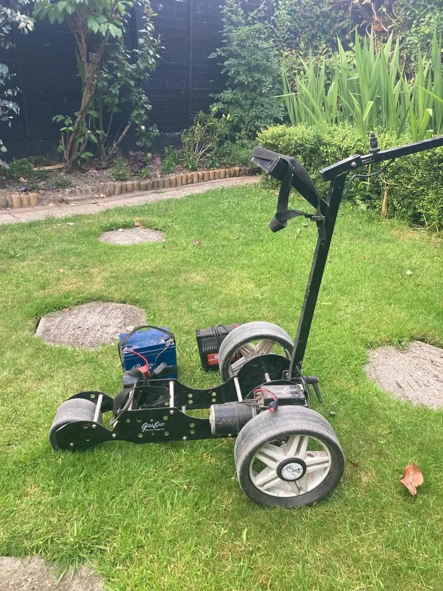 Electric golf cart