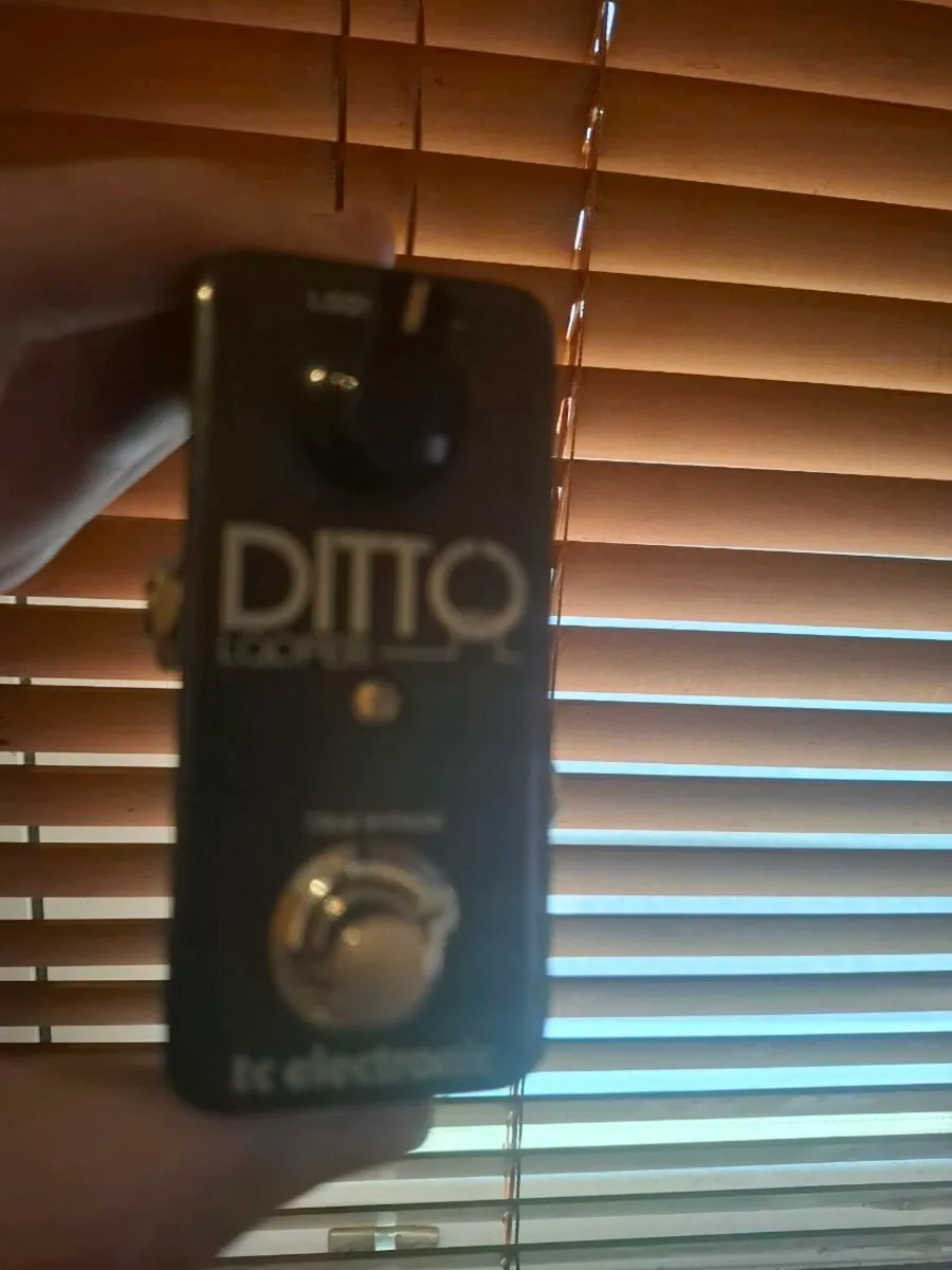 Tc electronic Ditto Looper guitar effects pedal