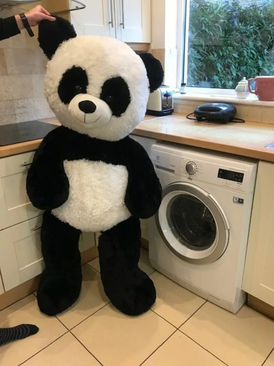 Giant Cuddly Soft Bear - Image 4