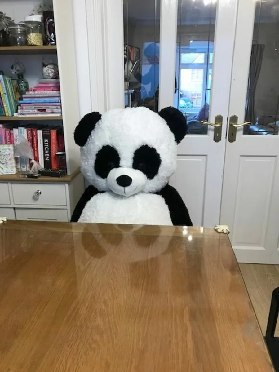 Giant Cuddly Soft Bear - Image 2