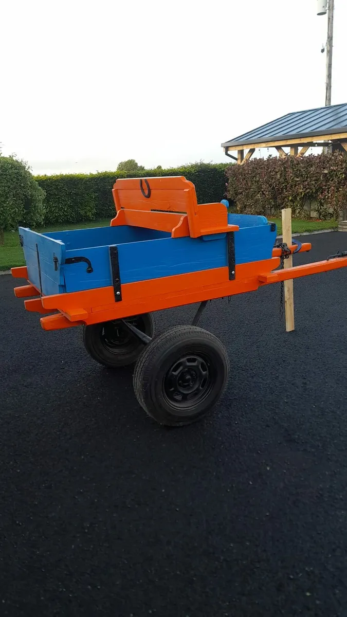 Donkey cart and tackling - Image 1