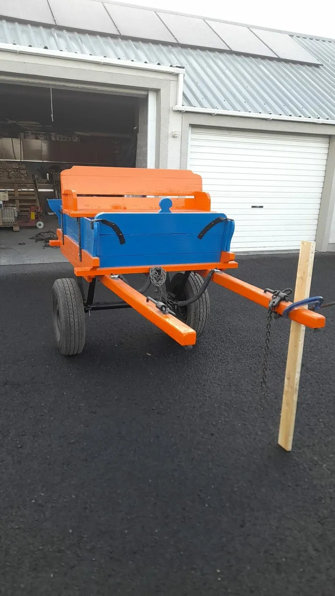 Donkey cart and tackling - Image 2