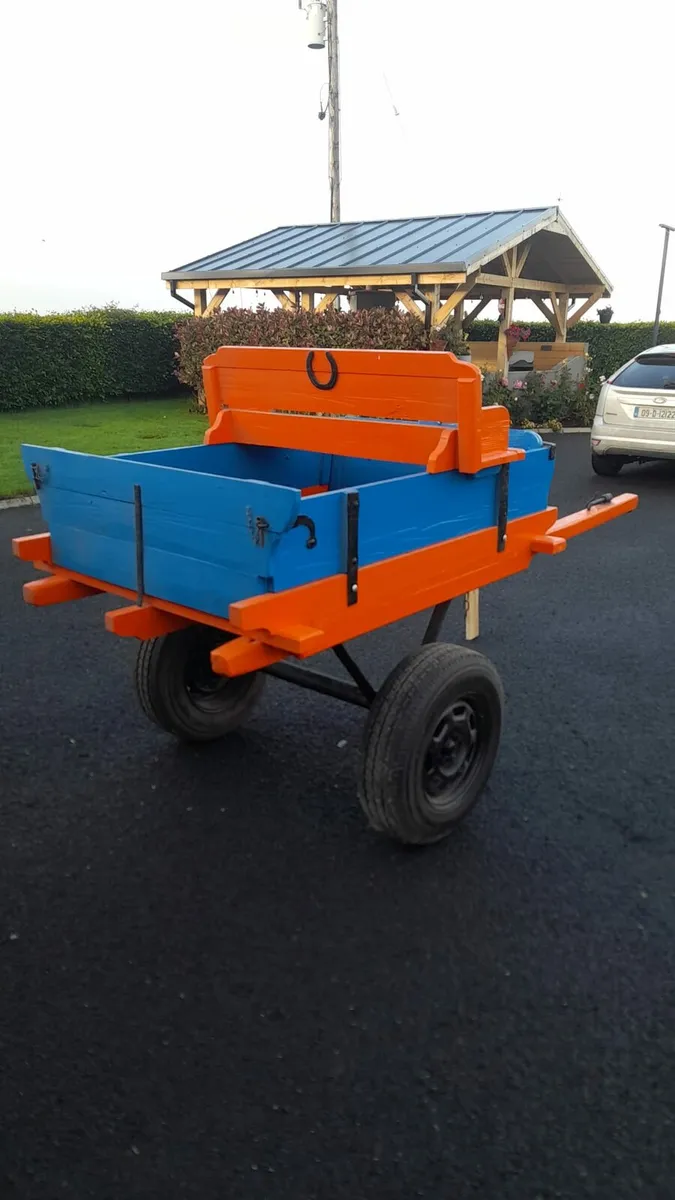 Donkey cart and tackling - Image 4