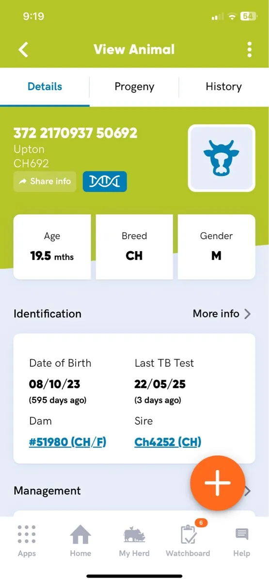 Bull - Image 4