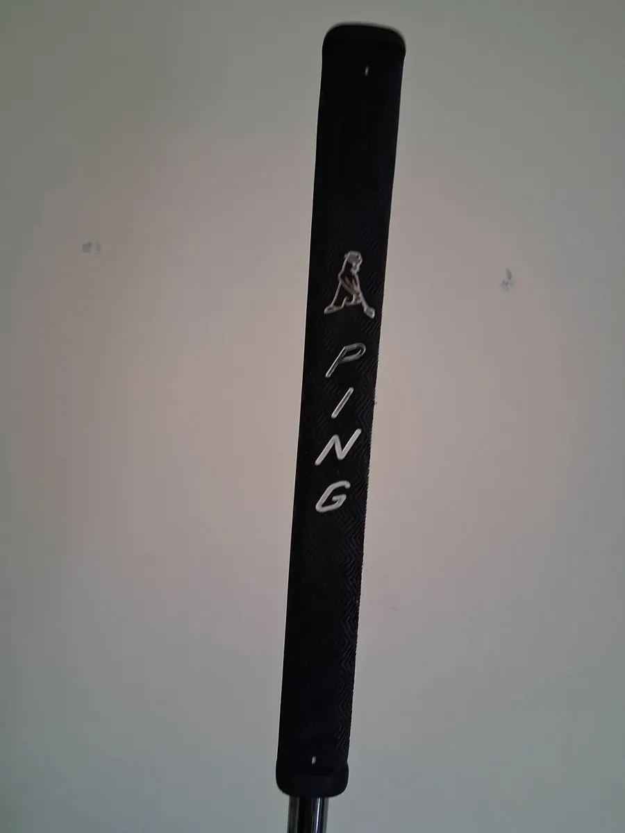 Ping Fetch putter - Image 4