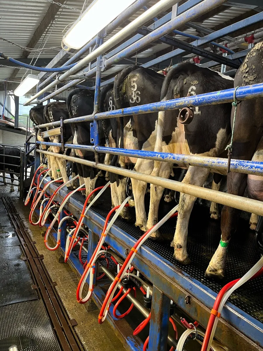 10 unit Parlour - Image 1