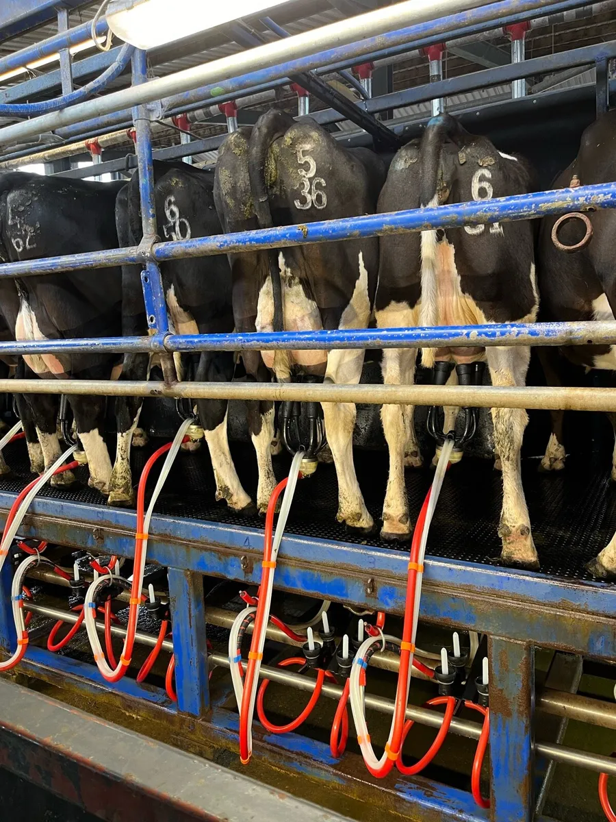 10 unit Parlour - Image 2