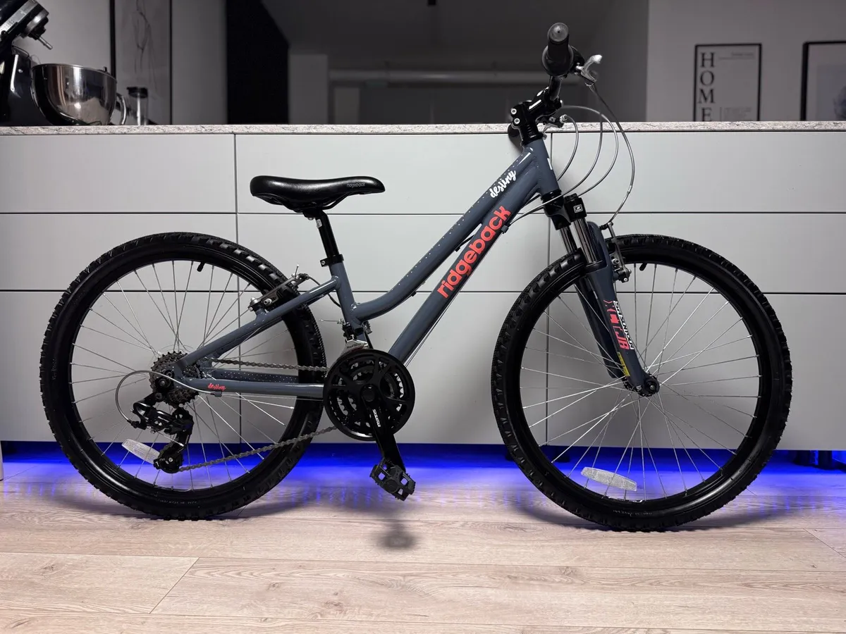 Ridgeback Destiny Junior Bike 24 inch - Image 1