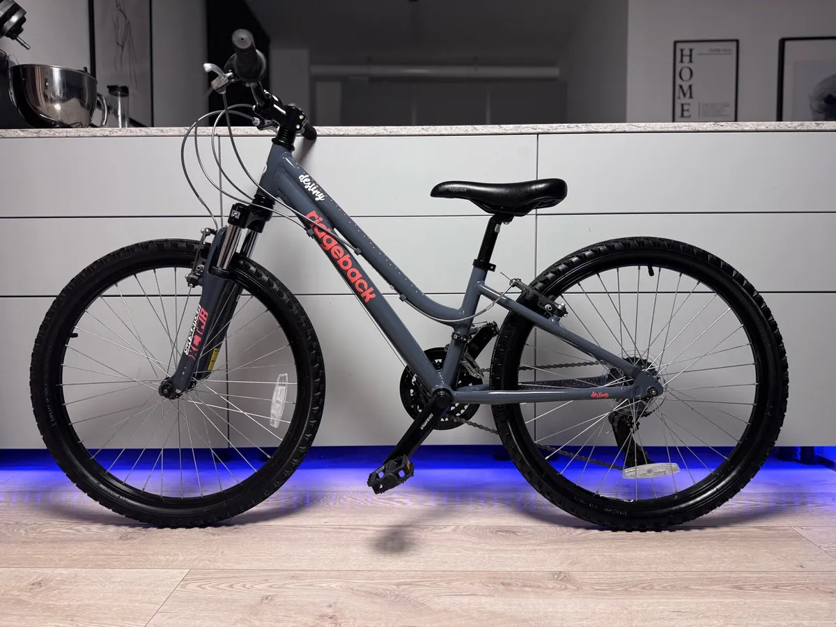 Ridgeback Destiny Junior Bike 24 inch - Image 2