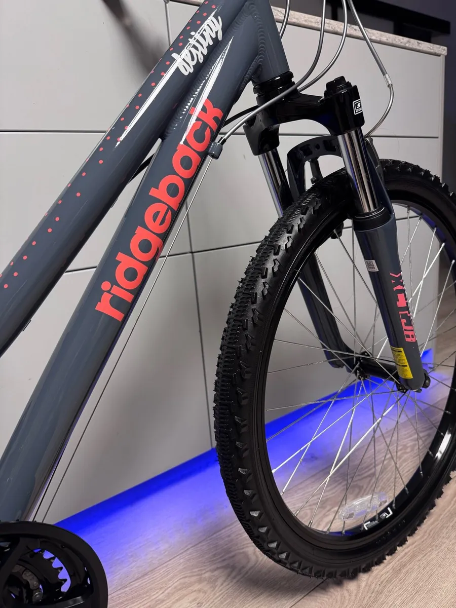 Ridgeback Destiny Junior Bike 24 inch - Image 3