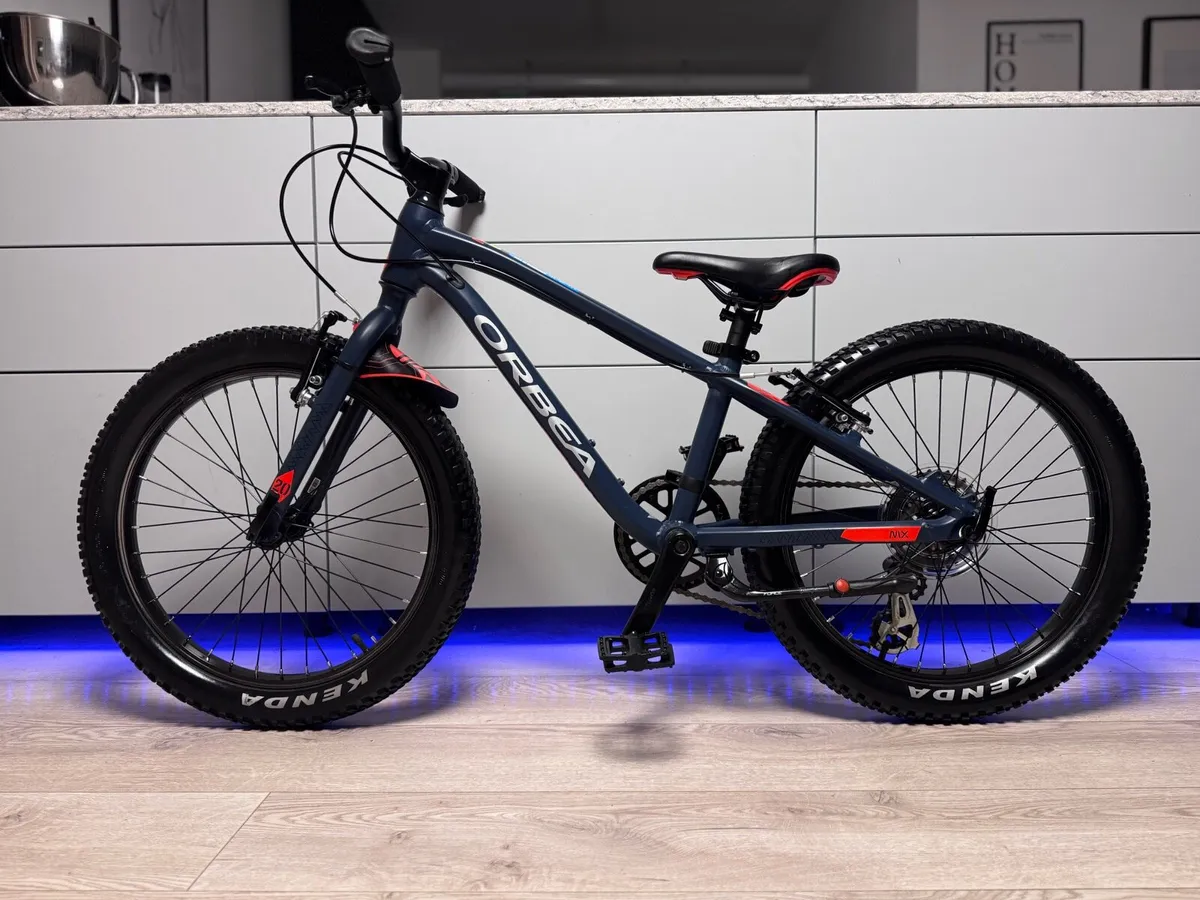 ORBEA MX20 Dirt Kids Bike 20 inch - Image 2