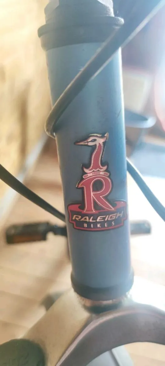 Raleigh suspension bike - Image 3