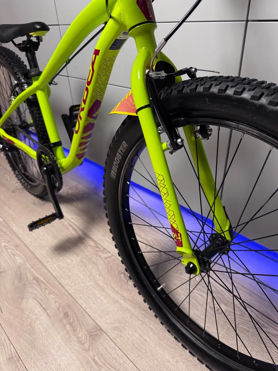 ORBEA MX24 Dirt Junior Bike 24 inch - Image 4