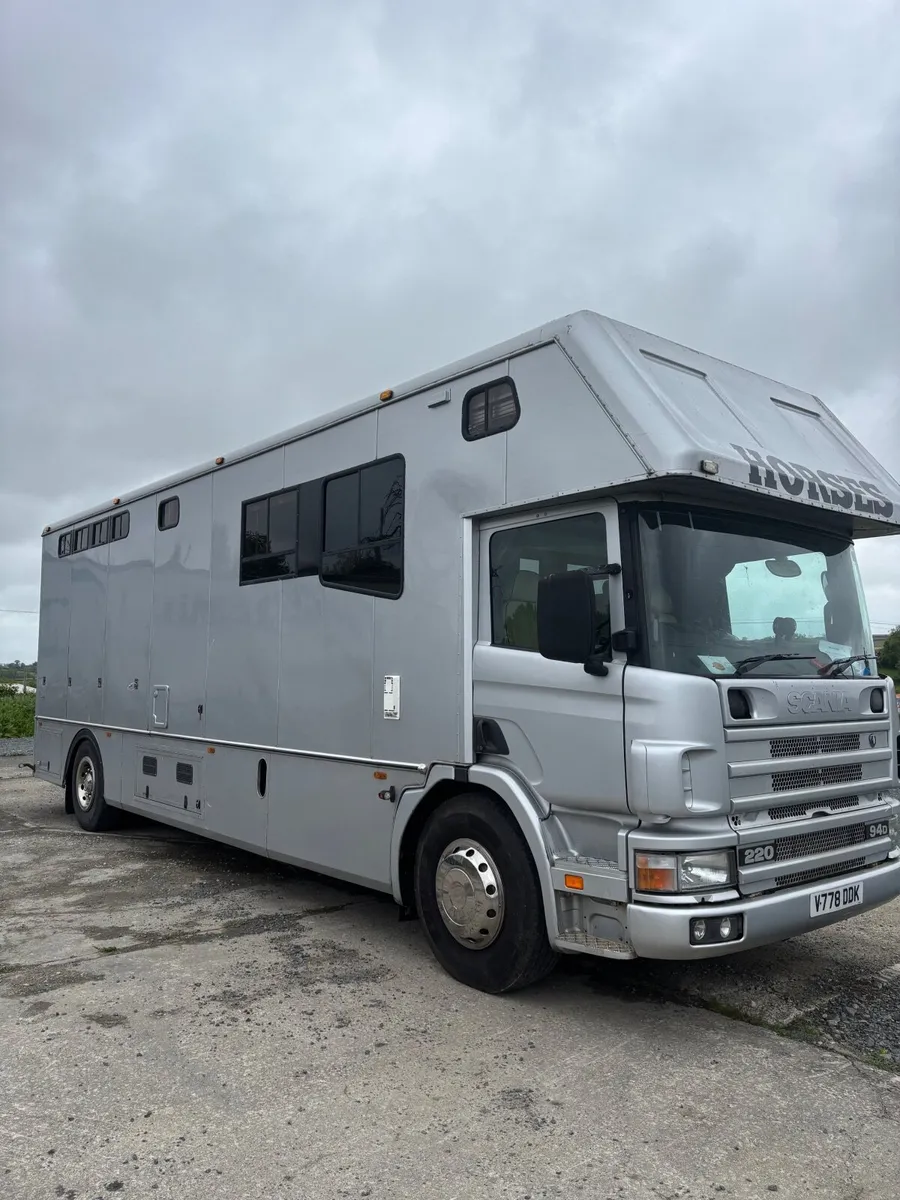 ⭐️Scania Horse lorry⭐️ - Image 4