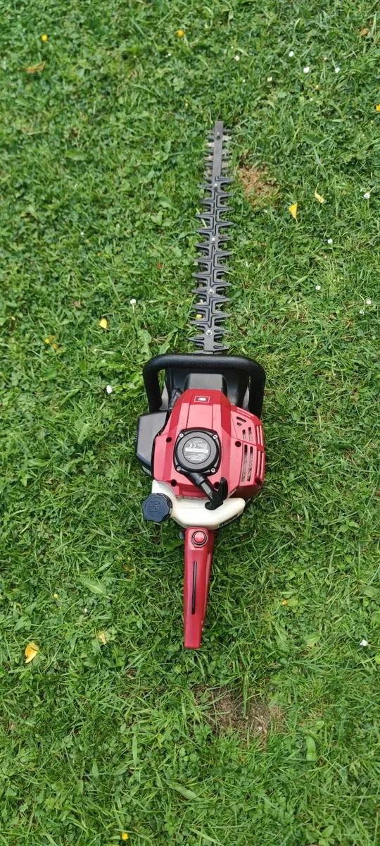 Einhell strimmer - Image 1