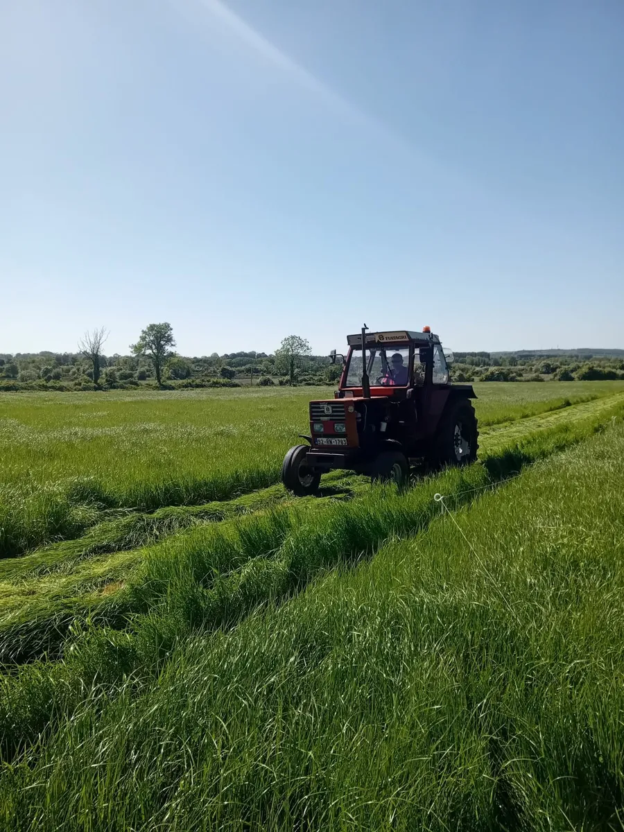 Fertiliser spreader - Image 2