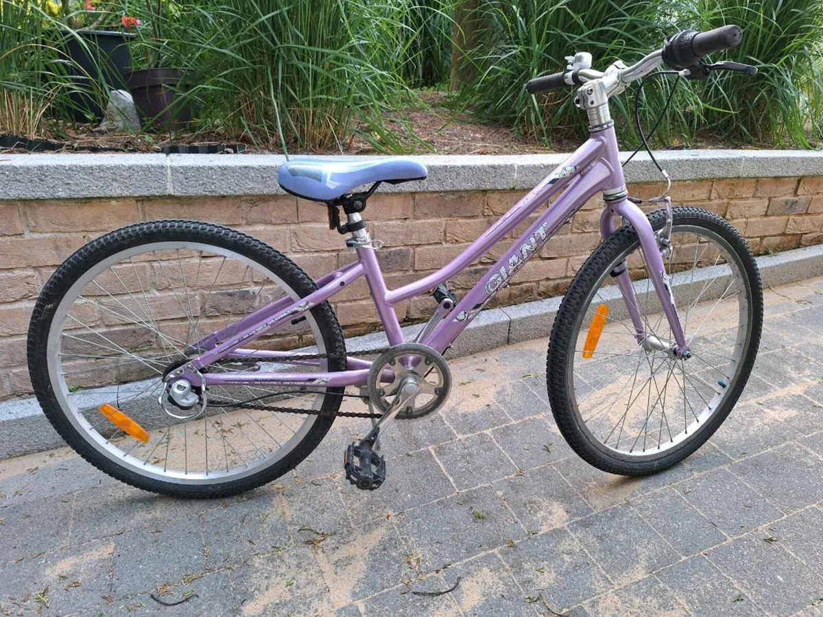Giant Veer 24 Girls Bike - Image 1