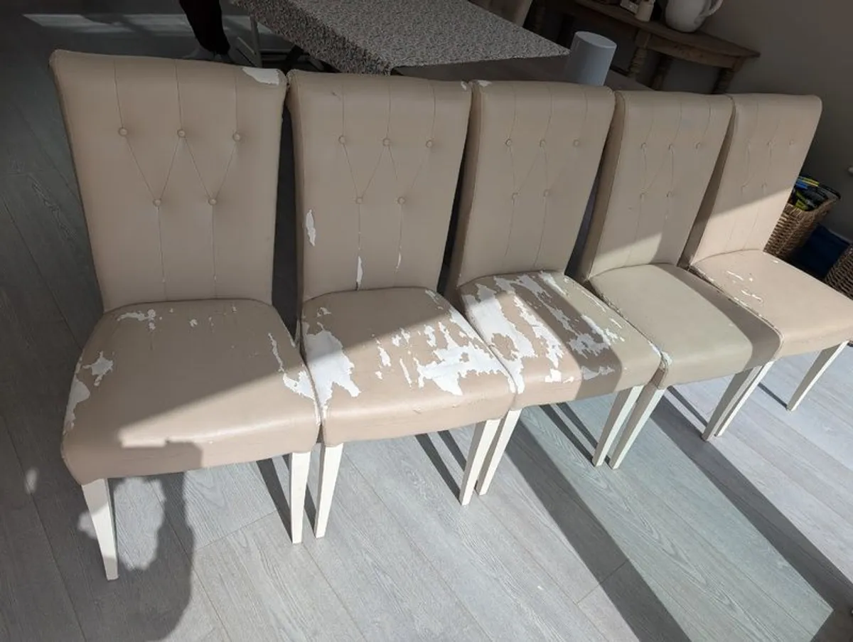 5 dining chairs - Image 1