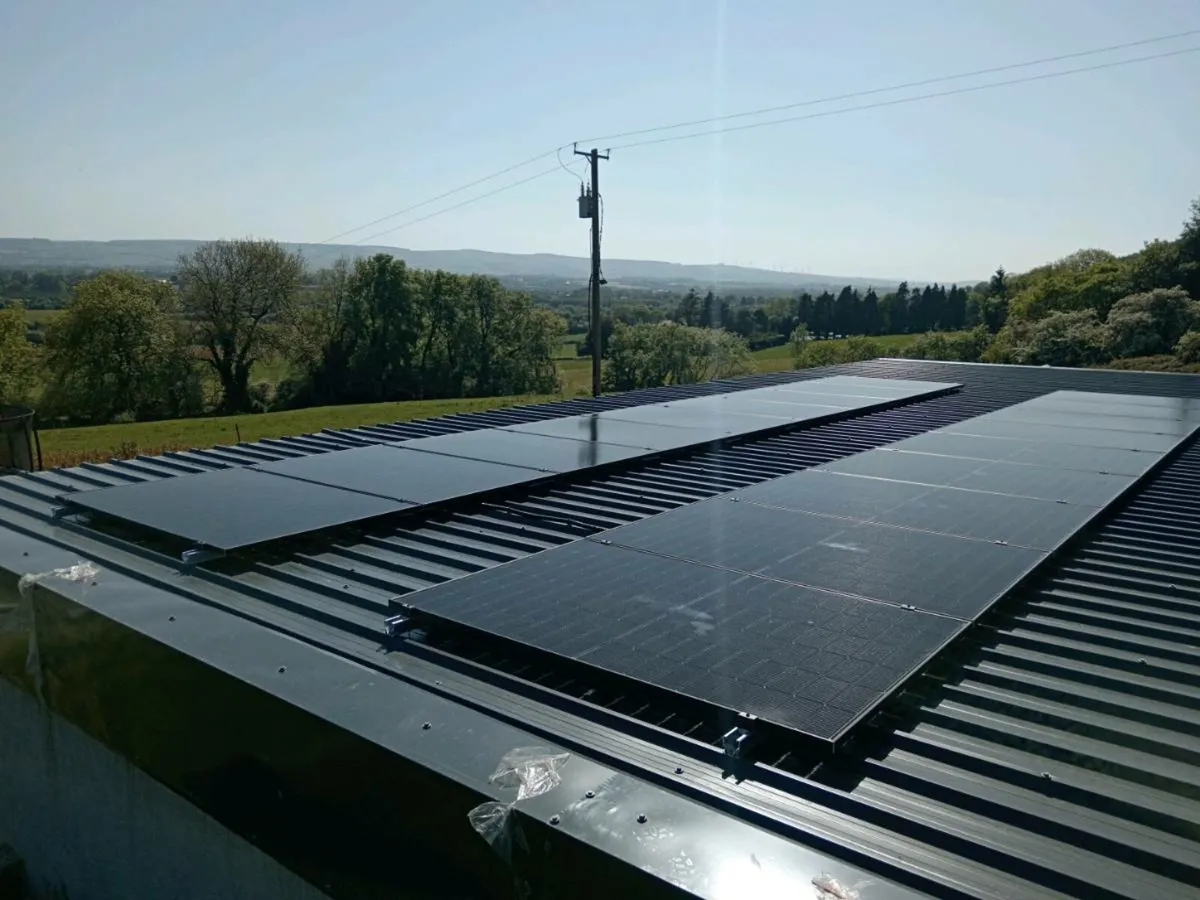 Brand new jinko 445w bifacial solar panels - Image 1