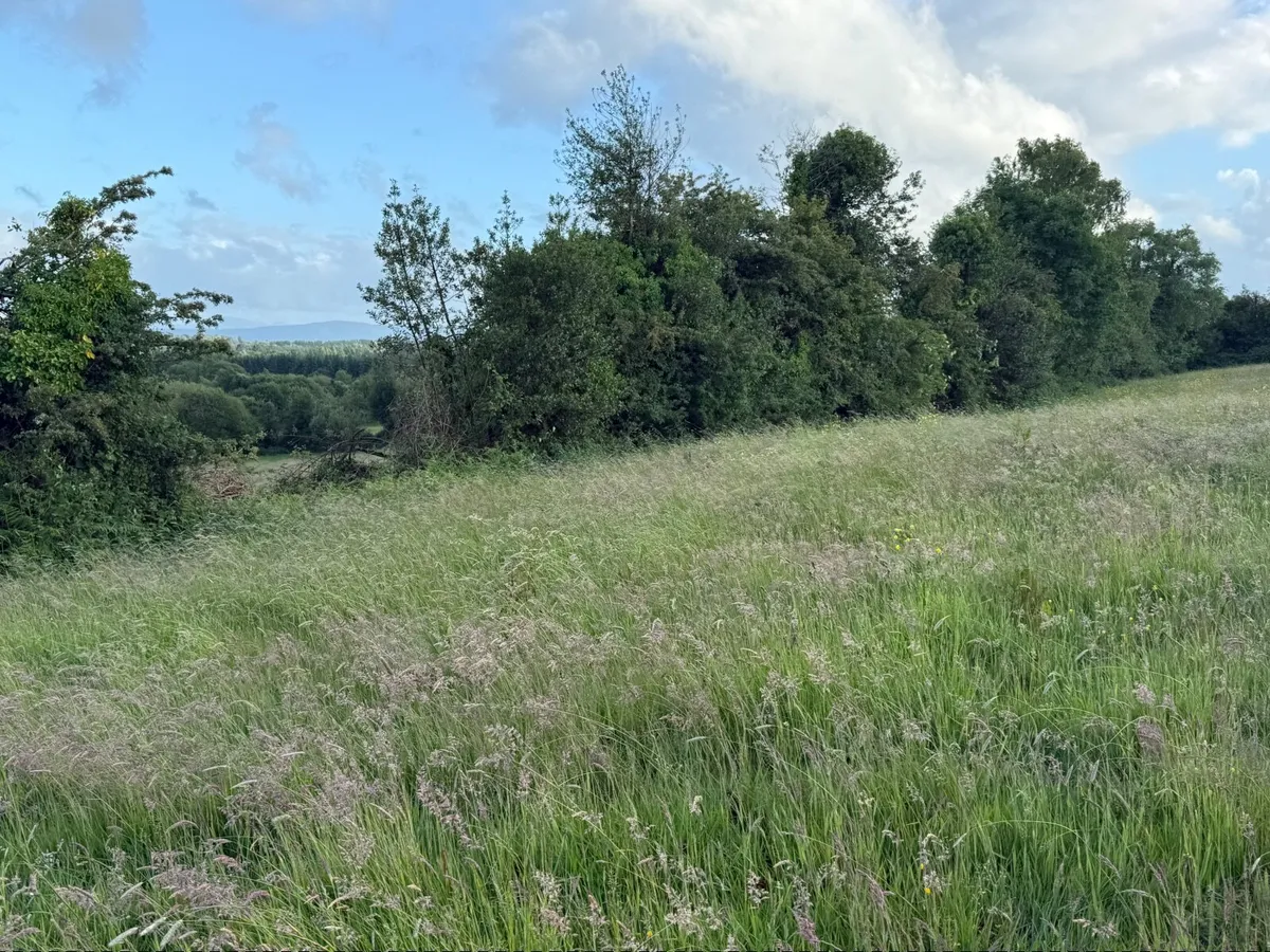 19 ACRES TO RENT - Image 1
