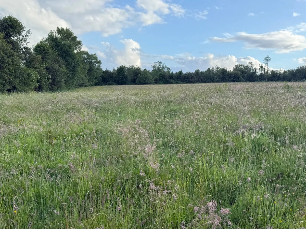 19 ACRES TO RENT - Image 2