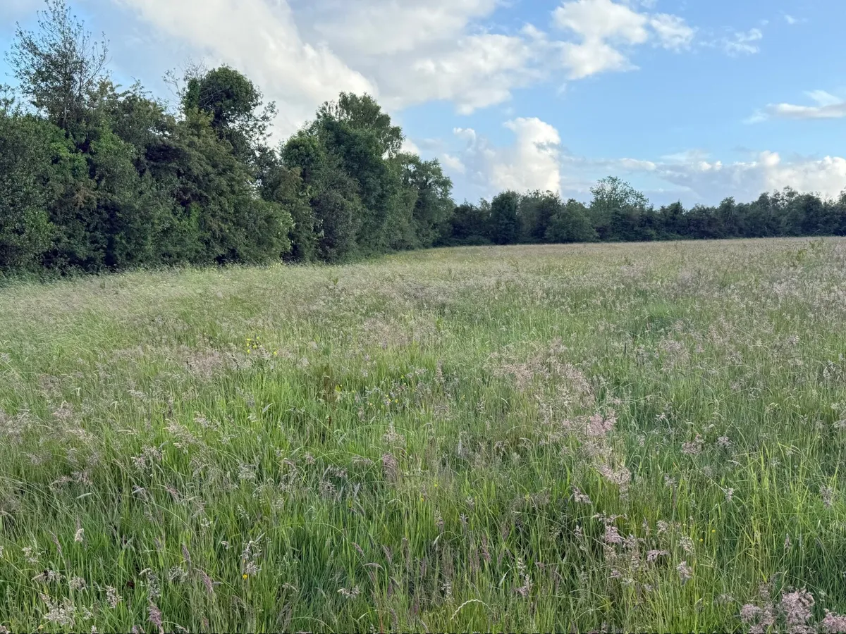 19 ACRES TO RENT - Image 3