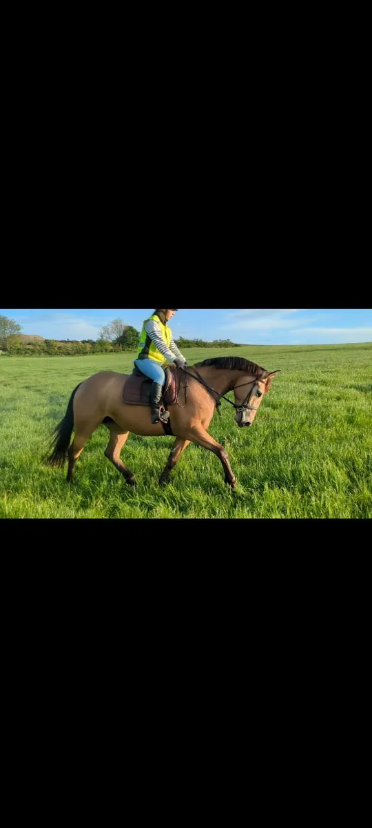 Super all round prospect - Image 2