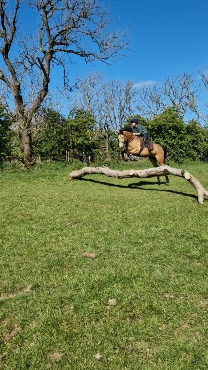 Super all round prospect - Image 3