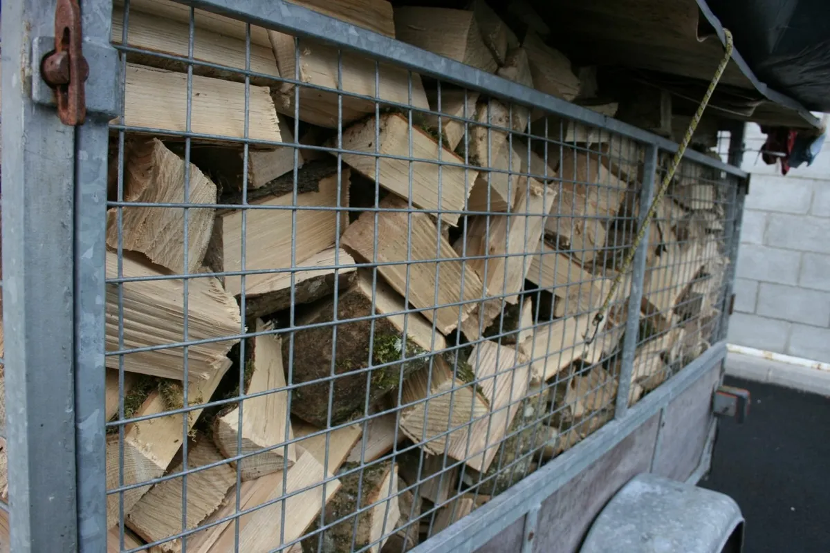 ash firewood - Image 3