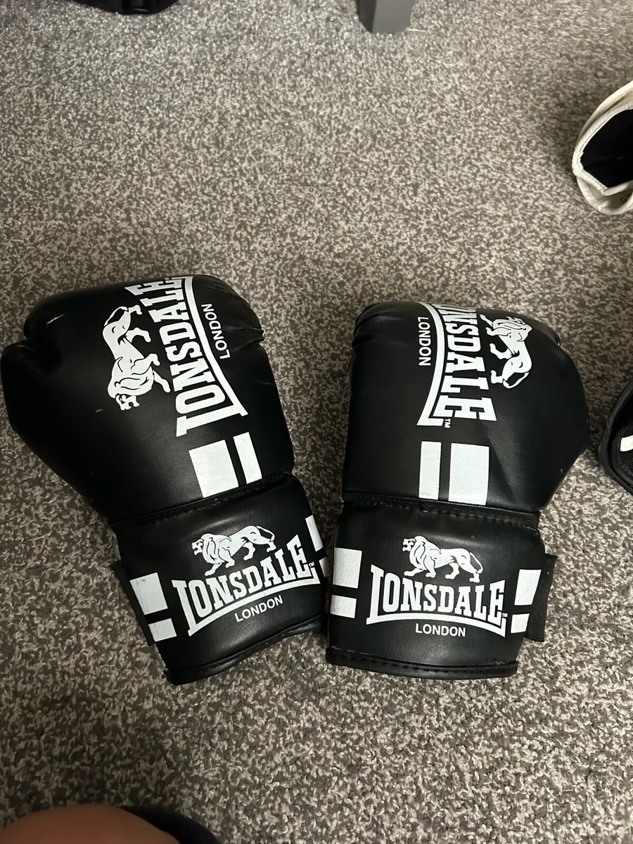 2 pairs Boxing gloves and pads - Image 4