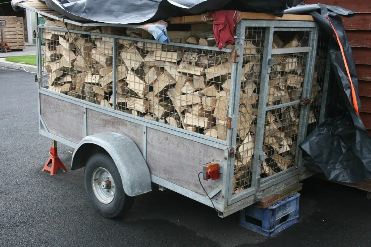 ash firewood - Image 2