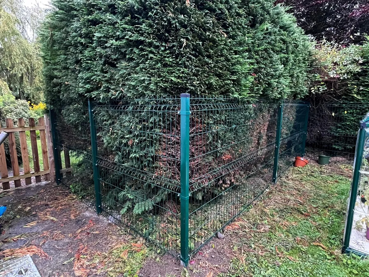 Vmesh , 3D fence. Supply and install. - Image 4