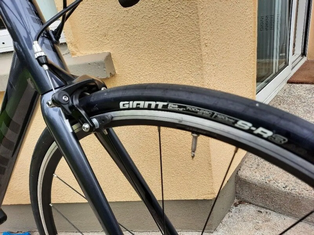Giant Contend 2 - Image 2