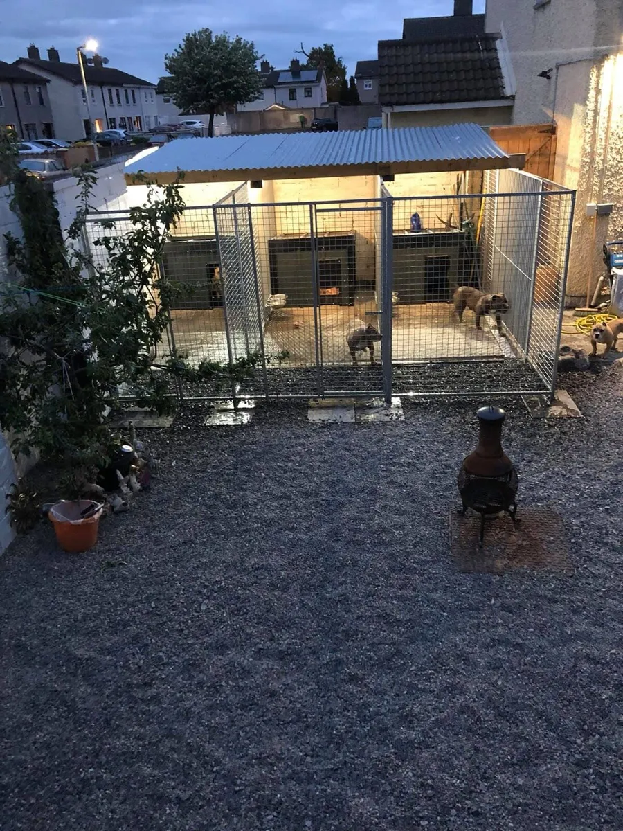 Dog run and Kennels for sale