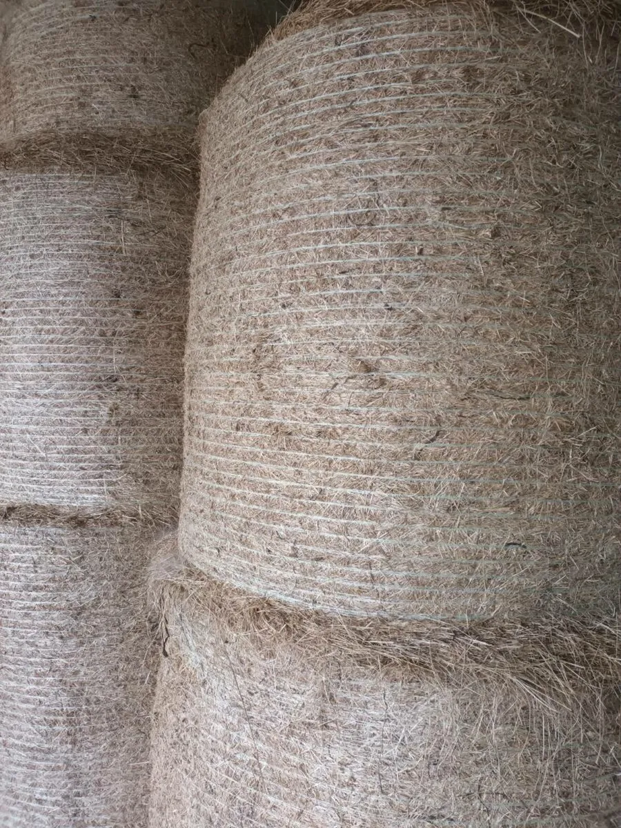 Hay