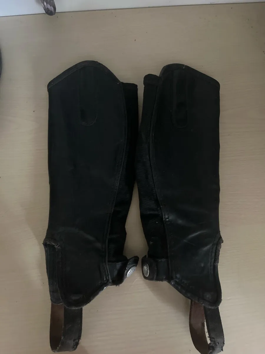 Horse riding chaps - Image 2