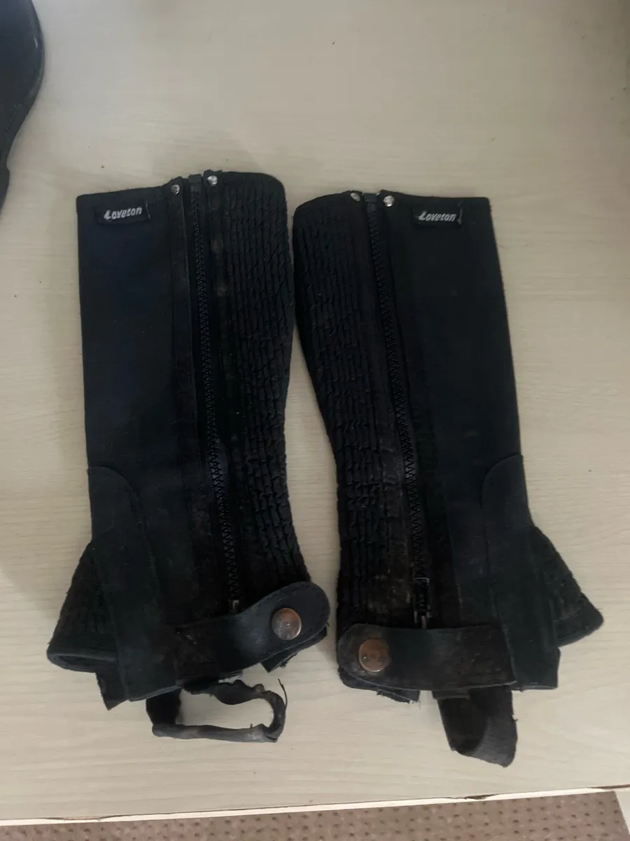 Horse riding chaps - Image 1