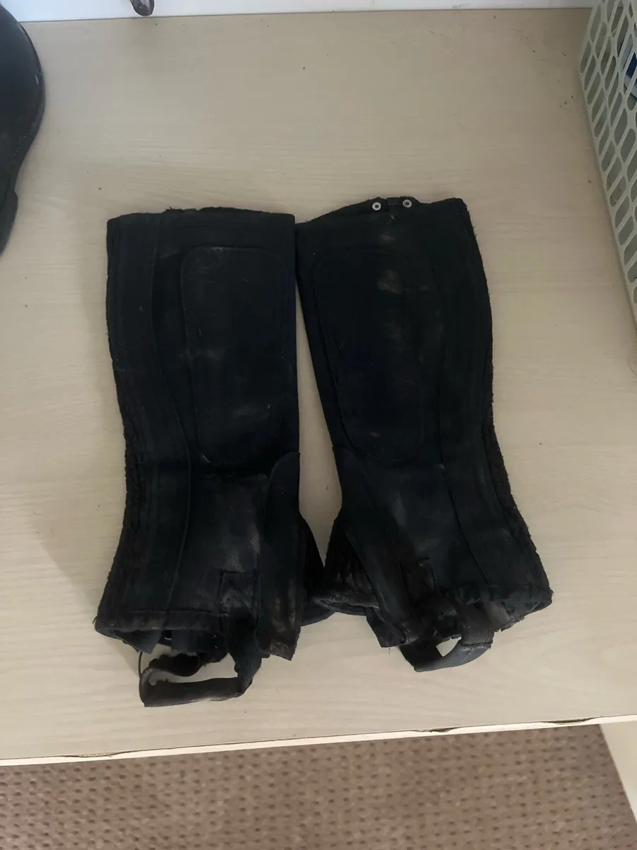 Horse riding chaps - Image 2