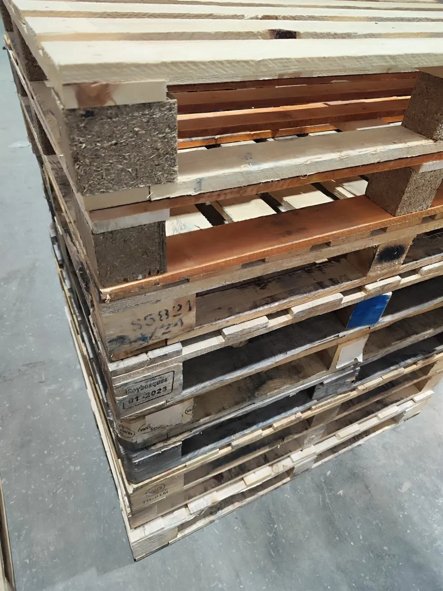 Pallets standard white 4€ - Image 1