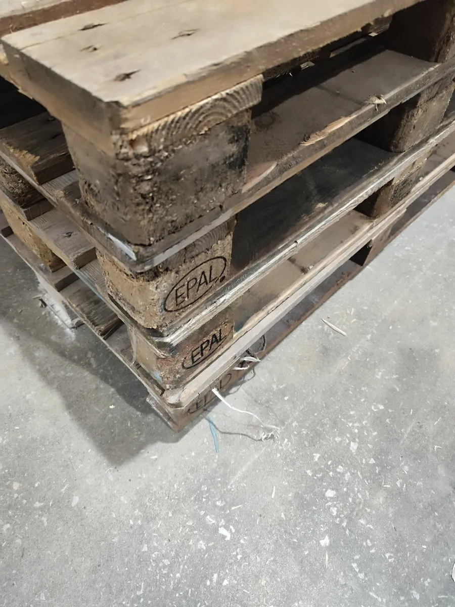 Pallets standard white 4€ - Image 3
