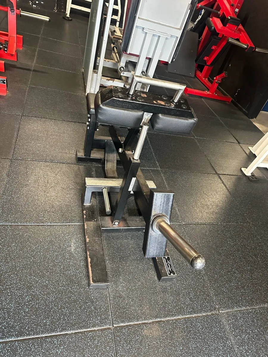 Seated calf raise - Image 1