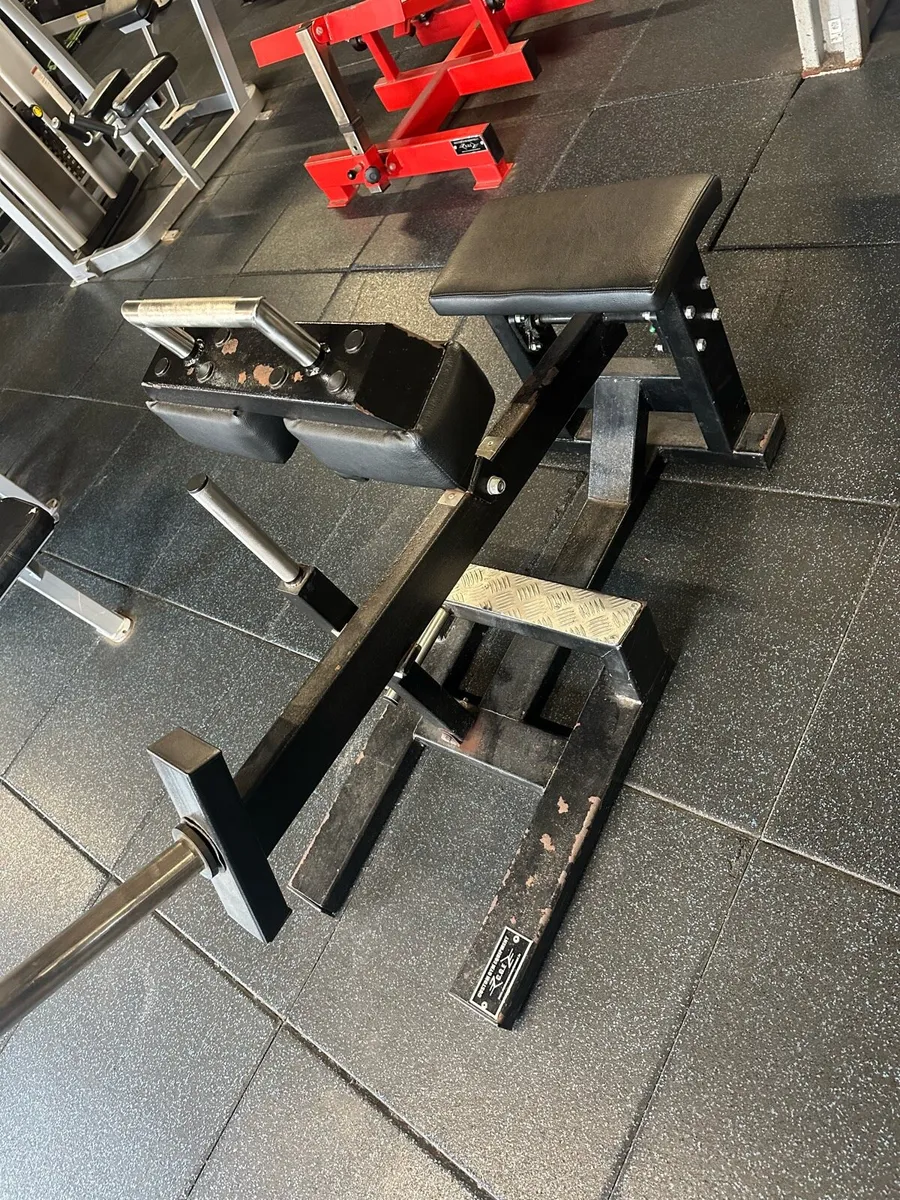 Seated calf raise - Image 2