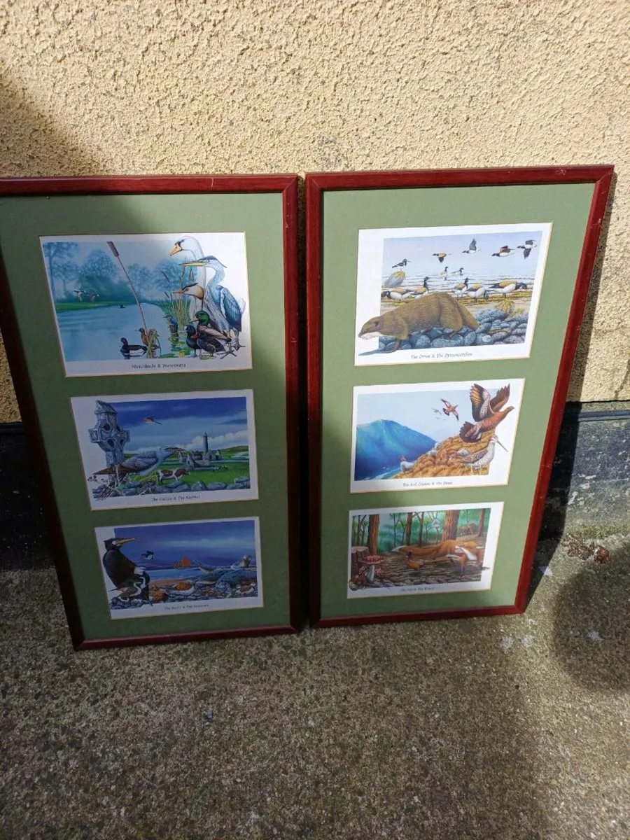 Vintage Irish Wildlife Pictures - Image 3